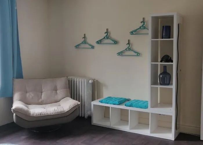 Le 135, Logement Spacieux Entre Ville Et Volcans