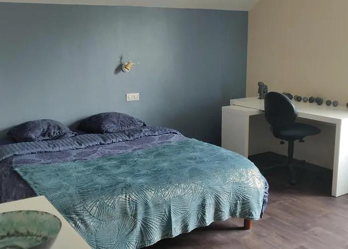 Le 135, Logement Spacieux Entre Ville Et Volcans