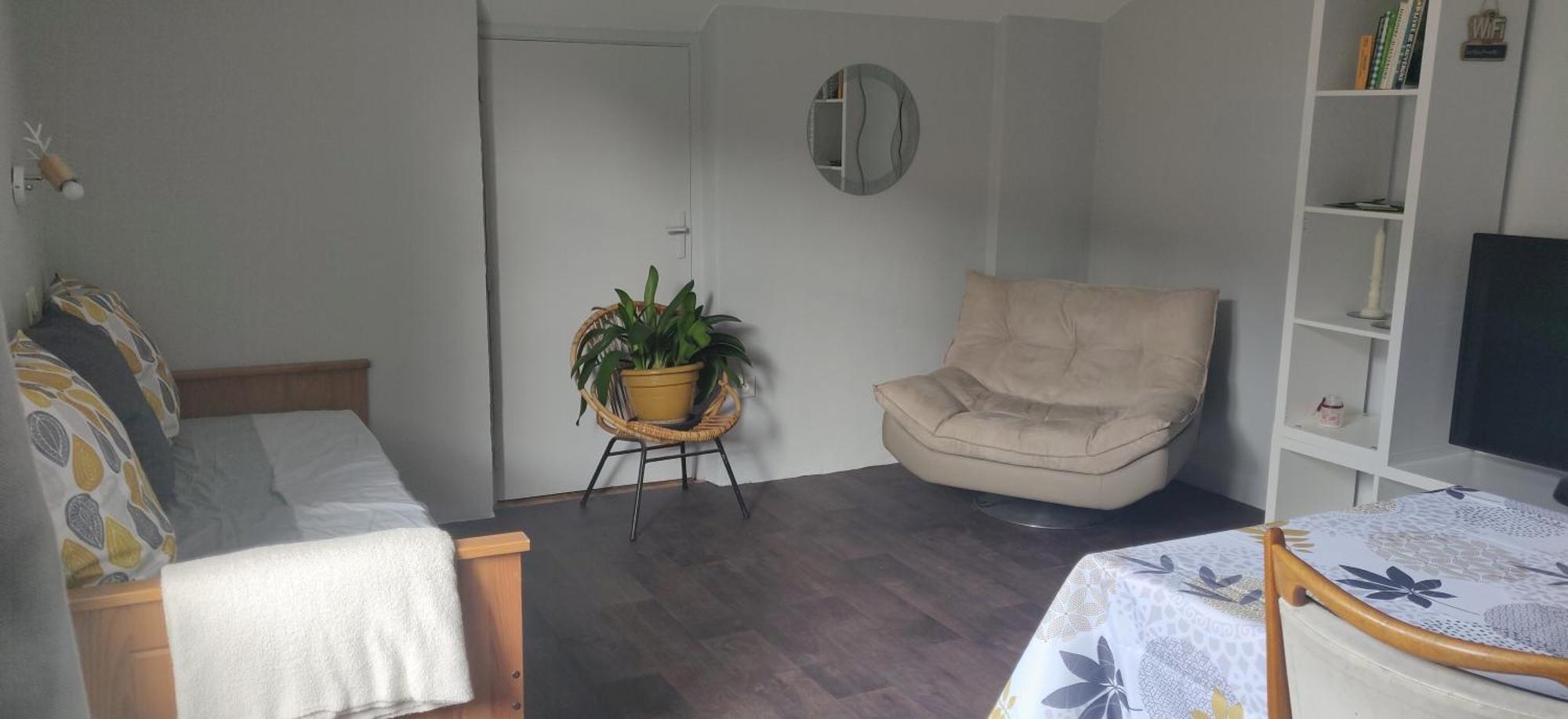 Le 135, Spacieux Entre Et Volcans Apartment *